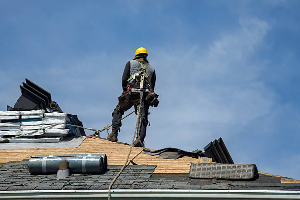 Professional Gutter Installation technician working in Sorrento, FL